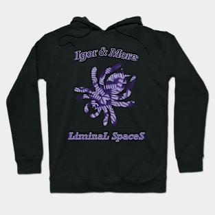 Igor & More Tarantula Liminal Stairs Purple Hoodie